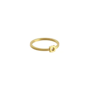 Fruit Bijoux Minimal Ring Gold Plate