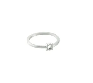 Fruit Bijoux Minimal Ring Silver