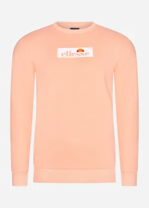 Muyanka sweatshirt - light orange