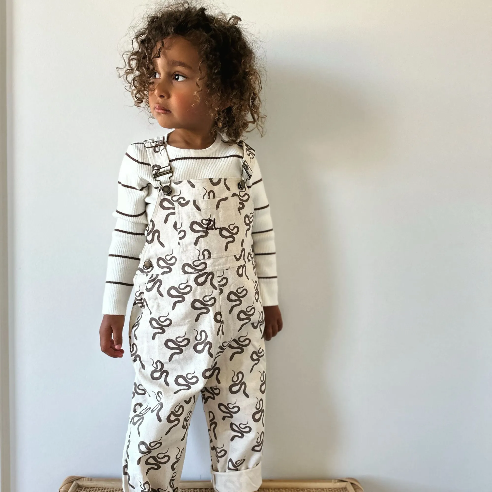 OVERALLS | VIPER